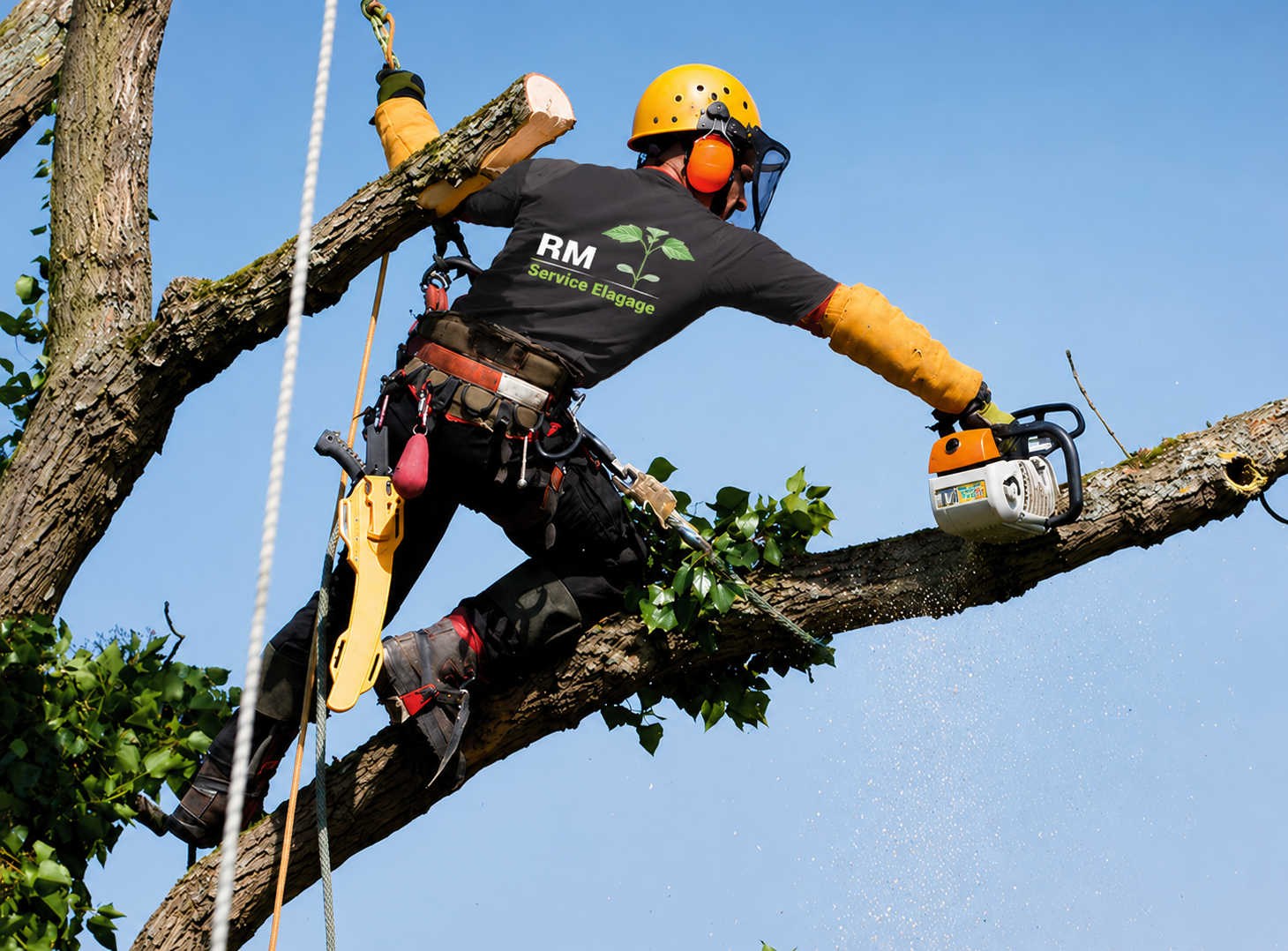 Démontage d'arbre section par section proche bâtiment Lunel